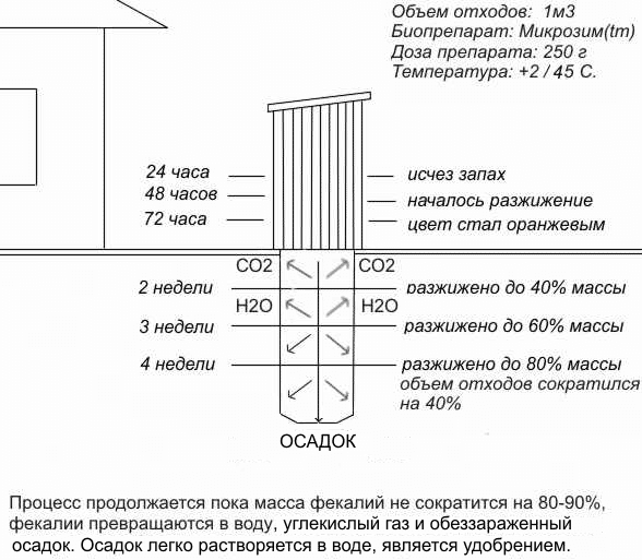 септик, выгребная яма, септик, выгребная яма, септик, выгребная яма, септик, выгребная яма, септик, выгребная яма, септик, выгребная яма, септик, выгребная яма, септик, выгребная яма, септик, выгребная яма, септик, выгребная яма, септик, выгребная яма, септик, выгребная яма, септик, выгребная яма, септик, выгребная яма, септик, выгребная яма, септик, выгребная яма, септик, выгребная яма, септик, выгребная яма, септик, выгребная яма, септик, выгребная яма, септик, выгребная яма, септик, выгребная яма, септик, выгребная яма, септик, выгребная яма, септик, выгребная яма, септик, выгребная яма, септик, 
выгребная яма, септик, выгребная яма, септик, выгребная яма
