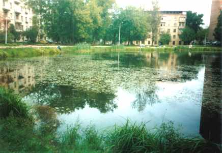 очистка прудов