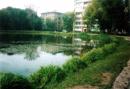 очистка прудов