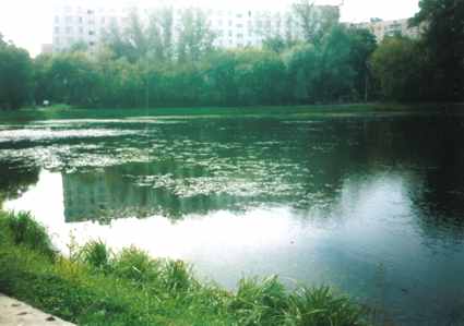 очистка прудов