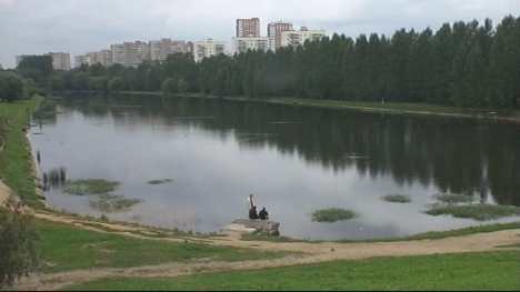 очистка прудов