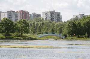 очистка прудов