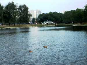 очистка прудов