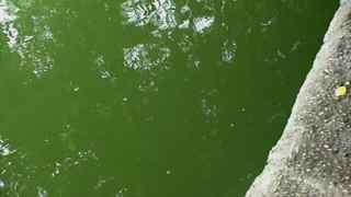 очистка водоемов, очистка прудов, очистка водоемов, очистка прудов,очистка водоемов, очистка прудов,очистка водоемов, очистка прудов,очистка водоемов, очистка прудов,очистка водоемов, очистка прудов,очистка водоемов, очистка прудов,очистка водоемов, очистка прудов,очистка водоемов, очистка прудов,очистка водоемов, очистка прудов,очистка водоемов, очистка прудов,очистка водоемов, очистка прудов,очистка водоемов, очистка прудов