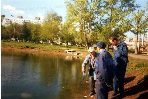 Очистка городских прудов в г. Коломне, очистку прудов водоемов биологическим методом очистки прудов по биотехнологии микрозим прудов очистка проходит в несколько этапов и очистка прудов завершается полным очищением прудов от загрязнителей которые ранее требовали срочного удаления из экосистемы прудов путем очистки прудов которая проводится путем применения биологического метода очистки прудов заключающегося во введении в пруд живой живого биологического агента участвующего в преобразовании мертвой органики загрязняющей пруд в углекислый газ в результате чего происходит очистка прудов и восстановление биологического баланса в результате очистки прудов от избытка мертвой органики которая служит серьезной нагрузкой на экосистему пруда нуждающегося в очистке прудов, водоемов очистка безвредна для самих прудов и обитателей водоема т.к. для очистки прудов водоемов  не используются химические вещества при этом при очистке прудов и водоемов значительно активизируются природные механизмы самоочищения очищаемых прудов и водоемов, что связано с удалением при очистке прудов накапливаемых за десятилетия количества мертвой органики в виде донных отложений и переработки ее в углекислый газ  что при очистке прудов водоемов дает эффект самоочищения. очистка прудов позволила существенно улучщить состояние городских водоемов с применениемэкологической биотехнологии очистки прудов водоемов микрозим которая позоляет очистить пруды от органических загрязненителей за один теплый сезон очистки прудов.