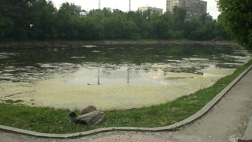 Очистка прудов и водоемов города Москвы по технологии Микрозим(tm)