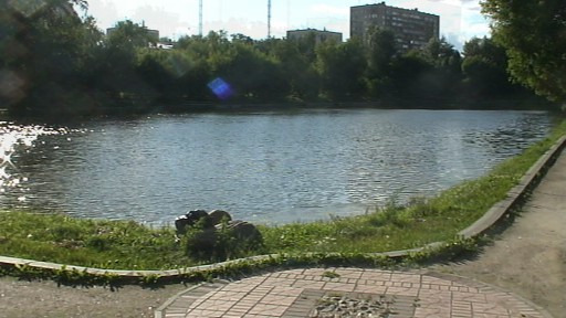 очистка прудов