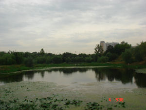 очистка прудов