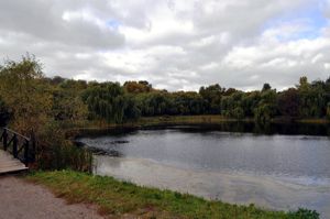 очистка пруда на фоне подпитки сточными водами и канализационным стоком