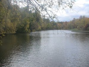 биоремедиация водоемов от канализационных стоков