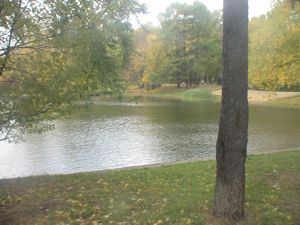 очистка пруда на фоне подпитки сточными водами и канализационным стоком