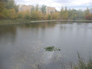 очистка водоемов от канализационных стоков