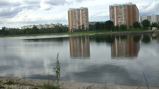 очистка прудов