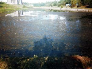 восстановление прудов которые загрязняются стоками из городского канализационного коллектора