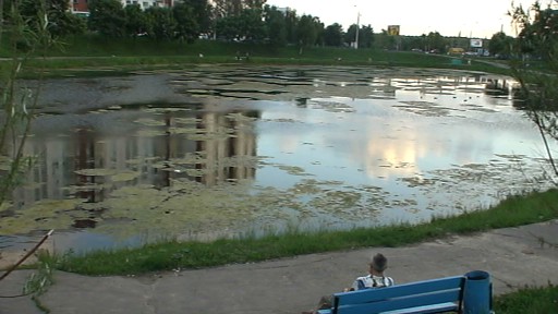 очистка прудов